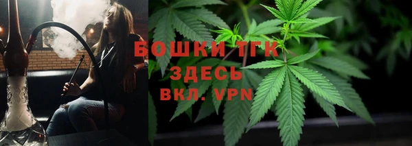 ГАЛЛЮЦИНОГЕННЫЕ ГРИБЫ Горнозаводск