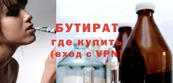сатива Горняк