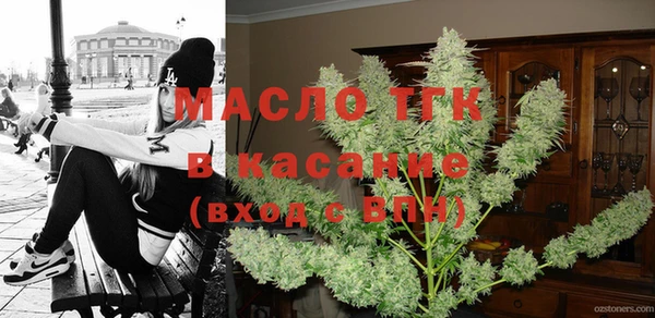сатива Горняк