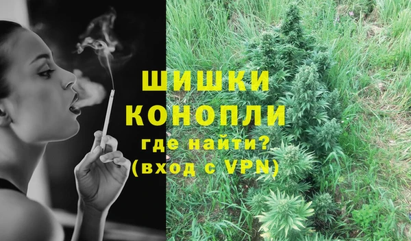 сатива Горняк