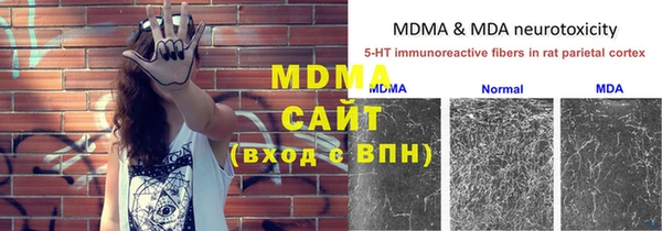 сатива Горняк