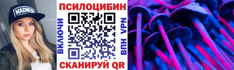 Купить  Тара  Галлюциногенные грибы прущие грибы 